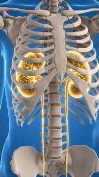 What Happens If You Eat Too Much Salt in One Day? 🧂😳 #shorts #trending #trendingshorts