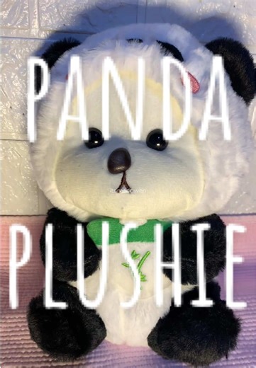 Caring Connections and Panda Plushies
