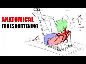 How to Draw Anatomy in your Foreshortening