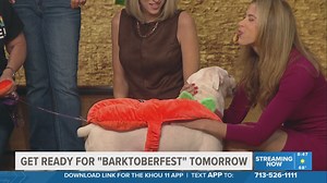 Camel, ostrich races held in San Antonio for second year