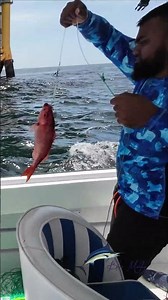 Vermillion Reds and Grouper on the Blue Marlin Tackle Pre Rigged Deep Drop Rigs