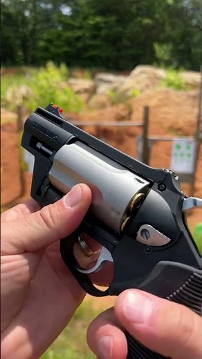 Taurus Public Defender FPV