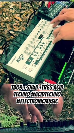 山林テクノ TB03 + SH4D ＋TR6S acid techno #acidtechno #electronicmusic