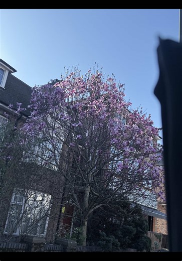 coco pops (@angi3.jaz)’s videos with original sound - MyChemikalRomance