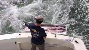 **NOW BOOKING "FALL RUN"!** Stripers / Blues / Blacks / Sea Bass / Scup - FISHING DAILY THROUGH NOVEMBER- -Call Today! Cedar Island Marina, Clinton CT https://www.rockandrollcharters.com/ 203-314-3765 #rockandrollcharters #ct #connecticut #fishing #ctfishing #longislandsound #boats #charterboat | Rock and Roll Charters | Facebook