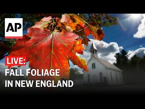 LIVE: Watch New England's brilliant fall colors