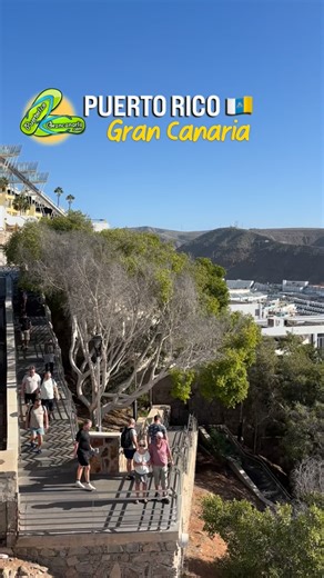 Puerto Rico Gran Canaria today! ☀️ 08/12/25 #puertoricograncanaria #grancanaria #canaryislands #puertoricogc | Puerto Rico Gran Canaria