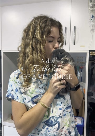 Life as a Vet Nurse: A Day in the Clinic Part 2