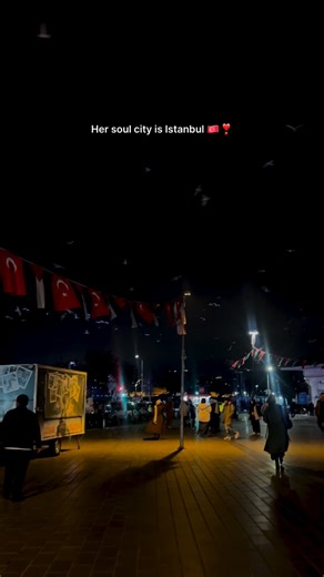 Seemab Kanwal | Dream and Destined to Istanbul🇹🇷 #explore #fyp #travel #viral #yalıçapkını | Instagram