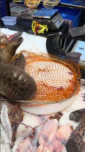 Fresh Eel Catch Cutting Skills at American Seafood Market #Fishing #CatchAndCook #shortsbeta