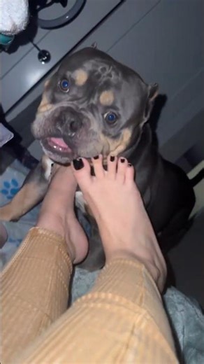 POV: 🌸When Your Dog Thinks Your Toes Are a Snack 😂🐶