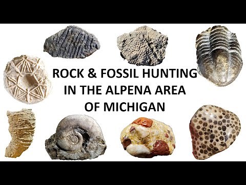 Rock and Fossil Hunting the Alpena area of Michigan