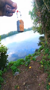 Ich teste eure Tipps gegen Grundeln: Futterkorb und Mais #angeln #fishing #grundeln | Freddie Pearson