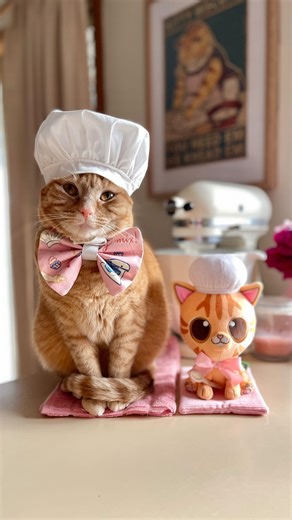 LAST WEEK to get your Princess Honeybelle plushie, made with 100% pure love & sweetness! 💖🍯 Help us reach the campaign goal by adopting your very own limited edition Chef Honey, expertly handmade by @makeship ! If the campaign is successful (we need to sell 200 or more plushies) then the Honey plush will ship out on the week of Honey’s 5th birthday in October, just in time to celebrate! 🎂 (also makes the purrrfect holiday gift for you or someone you love!) Head to makeship.com or tap the link