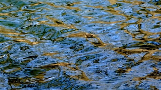 Water, Waves, Move. Free Stock Video