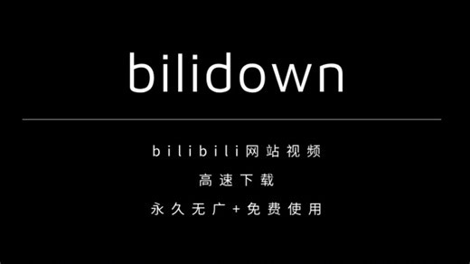 B站视频下载工具，高速下载，永久免费用