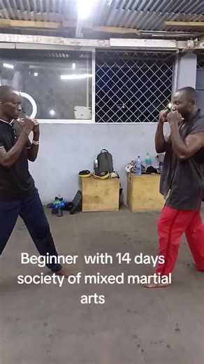 Beginner’s Guide to Martial Arts: 14-Day Training Plan