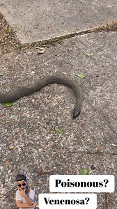 This is tree life!! #treeservice #treelife #trees #treeremoval #funnyreals | Humbe Ortiz