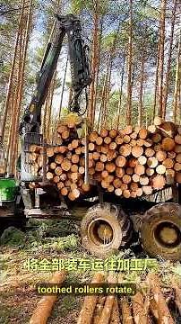 One machine cuts, strips, & sections entire trees in minutes 🌲⚙️ #Forestry #Logging #Tech