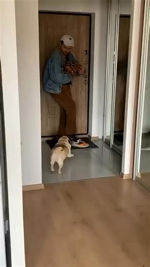 98K views · 3.2K reactions | He is like he just saw a tiny little devil 藍( #hashtagfbreelsvideo | Heartfelt Stories | Facebook