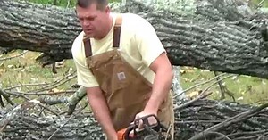 WATCH: Tree trimmer caught in worker comp fraud