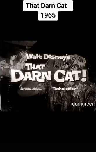 That Darn Cat: Walt Disney's Classic Comedy