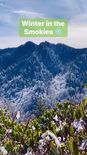 Bundle up and get outside! Winter hike on the Alum Cave trail. 🥶Great Smoky Mountains National Park Visit Gatlinburg | Gatlinburg Gal