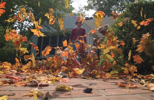 Move leaves fast and easy with the gas-powered STIHL BG 50 ️⛽ Shop the full STIHL blower lineup now at acmetoolsplymouth.stihldealer.net! | Acme Tools - Plymouth, MN | Facebook