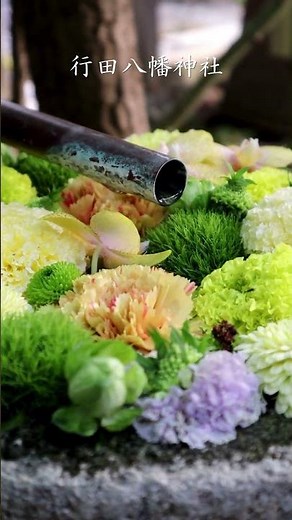 【行田花手水week】綺麗に飾られた、行田八幡神社と忍城址の花手水