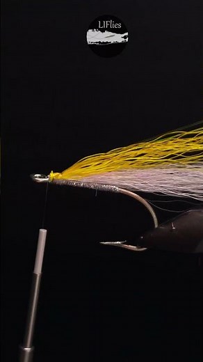 The First Striped Bass Fly You Should Learn If Your New. Ray's Fly #flytying