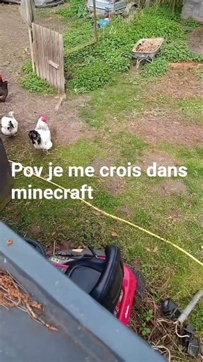 #minecraft #poule