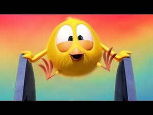 Funny Chicky Compilation | Where's Chicky? | Cartoon Collection in English for Kids | New episodes