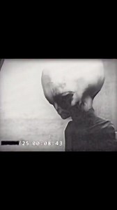90K views · 1.3K reactions | KGB footage of “Skinny Bob” #UFO #ufosighting #ufos #aliens #aliensarereal #ufology #ufocommunity #fypシ #viral | Ufo Mania | Facebook