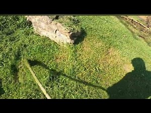 HOME DEPOT ECHO SRM 225 WEED EATING GRASS EVERYTHING SUPER POWERFUL
