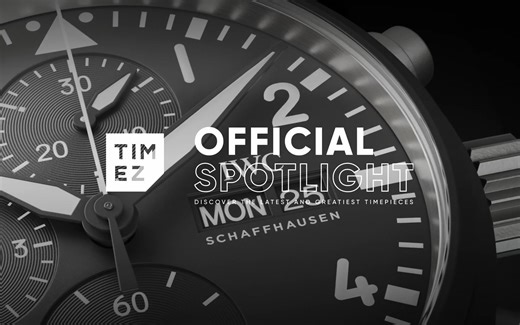 TIMEZ｜万国飞行员系列 海军空战部队计时腕表