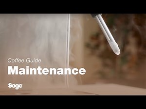 The Barista Express™ Impress | Cleaning guide: performing a steam wand purge | Sage Appliances UK