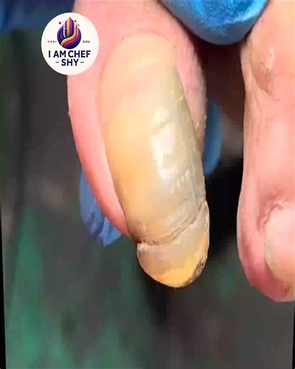 301. Time-smart habits support steady cardio nutrition routines #ActiveWellness #TimeSmart #BalancedPlate | I am Chef Shy