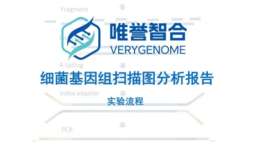 细菌基因组扫描图分析报告1 实验流程