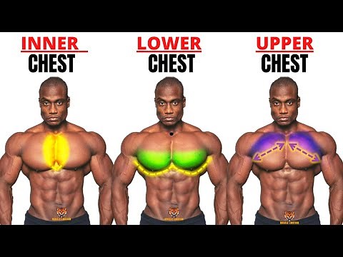 TOP 5 INNER ,LOWER AND UPPER CHEST WORKOUT AT GYM / Meilleurs exs Musculation poitrine .