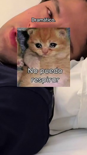 La vida con un novio golden retriever y su encanto