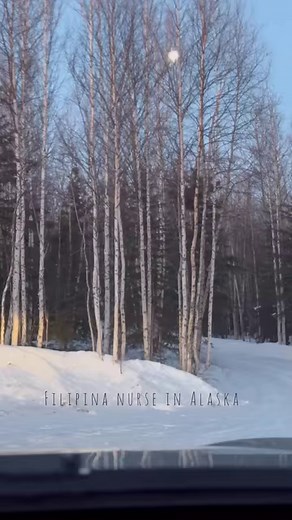 11K views · 98 reactions | Click watch video below for the entire vlog. Fireweed (Damu lang dito sa Alaska) Harvest at Health Benefits nito. #filipinainalaska #filipinanurseinalaska #alaska #harvest #wildflower #fireweed #harvest #forage | Filipina Nurse in Alaska CrevistonCreations | Facebook