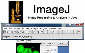 显微图像处理神器 Image软件99节中文教学课程，包教包会！
