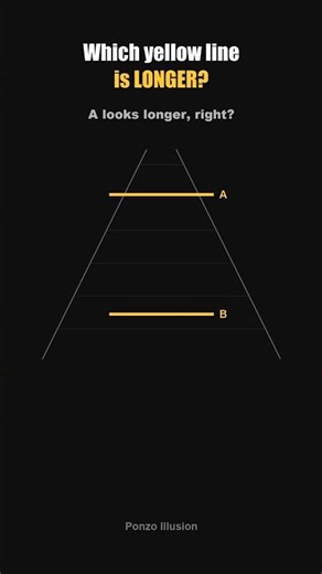 Line A looks longer than Line B. But is it? 🚂