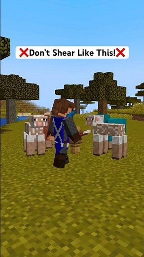 EASIEST Automatic AFK Wool Farm Tutorial (Java & Bedrock) - Minecraft 1.20 #shorts