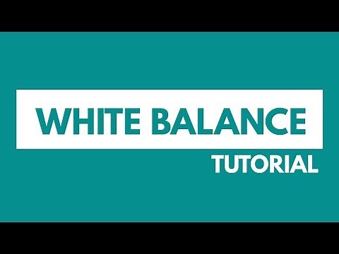 What is White Balance? Photography Tutorial