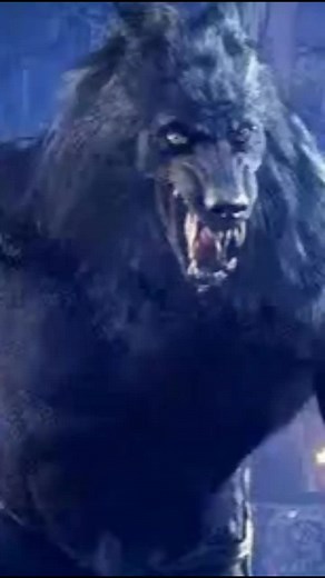 #CapCut #vanhelsing #vanhelsingwerewolf #vanhelsingthewerewolf #vanhelsing2004 #vanhelsingedit