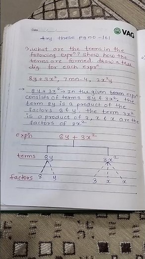 cbseclass7 #cbsemaths #ncert #chapter10 #algebricexpressions #try these #youtubeshorts #youtube
