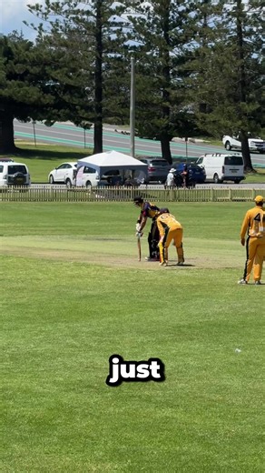 Master Cricket Batting with The Instant Run Maker System