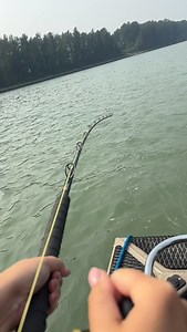 @burnewiin best rod holders 🔥🔥🔥 Unreal rod holders, #gamechanger | Lang's Fishing Adventures