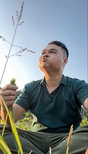 Bố Con Dũng Cảm Nhất Nông Thôn Khi Ăn Cỏ Như Trâu #bovacon #trocho #funny #comedy
